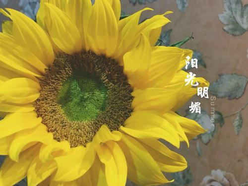 孩子失散千里归 《九画单字》