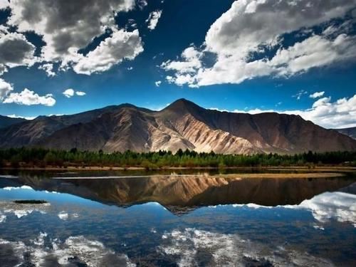 官司必定输·梨花格《猜一人名》