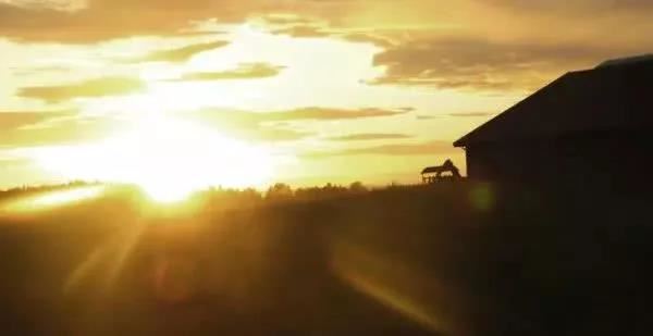 人若犯我我必犯人《猜一数学词语》