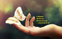 娱乐无度人风流 《四字收藏经历》