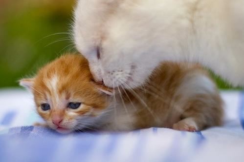 猜谜语题目:衣锦还乡《打一个人名》