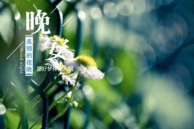 来人乔装一打扮 《工程院院士》