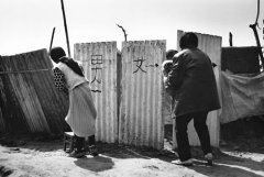 一望皆春色《猜一植物学词语》