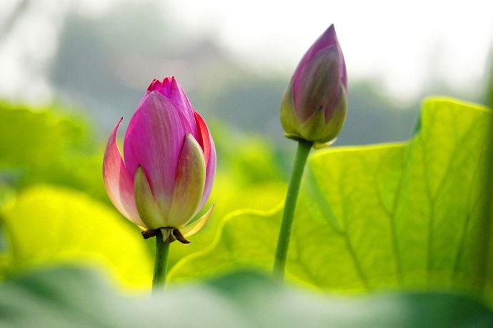 公安人员的任务《打《三国演义》人名一》