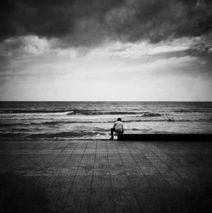 高高个儿一身青_金黄圆脸喜盈盈_天天对着太阳笑_结的果实数不清《猜一植物》