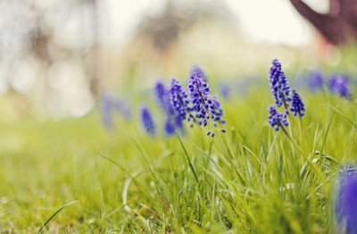 祭泸水汉相班师 《外城市一》