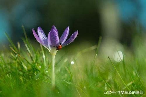 喊声长定是烟烟《复姓二》