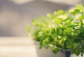 快乐之秋　《猜霹雳舞明星》