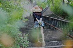 春风吹拂杉树边 《植物学名词》