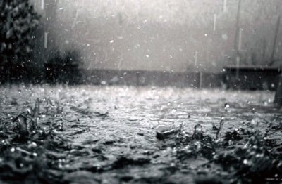 真心为改革出力 《五画单字》