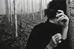 湖内尽搭木头桥　《猜15笔字》