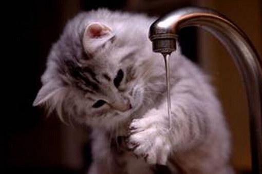 伯乐异乡饱眼福 《骊珠》