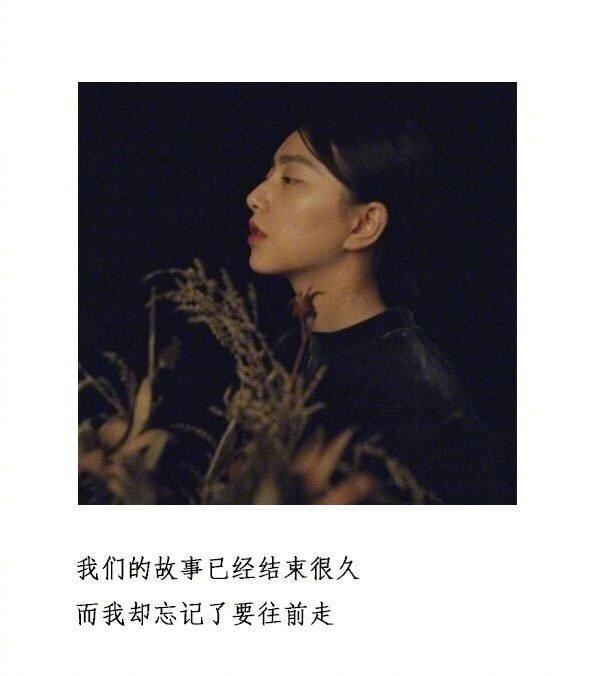 儿《猜一动物名》