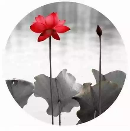 八个人畅游上海 《打一字》