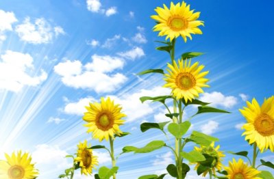 不打不成交 《骊珠》