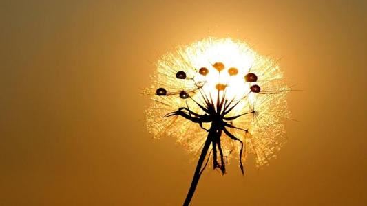 几多误会花前解 《环保词语一》