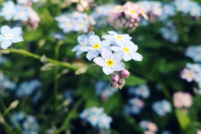 空手拜师_坚决逐出 《8口》