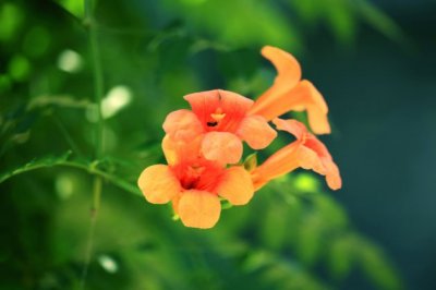 辨才须待七年期 《骊珠》