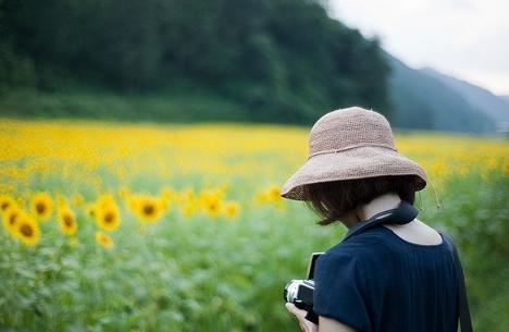 春日归来花前倒 《打一字》