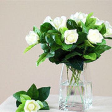 叶《猜一数学词语》