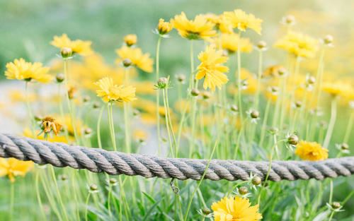 错过机会人溜走　《猜港台作家》