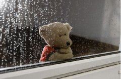 春雨润梅开 《央视主持》