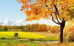 今日宴请_但叙朋友旧情 《《岳阳楼记》句》