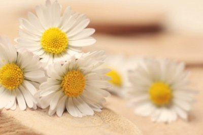 把腐朽的东西扔进垃圾桶　《猜成语一》