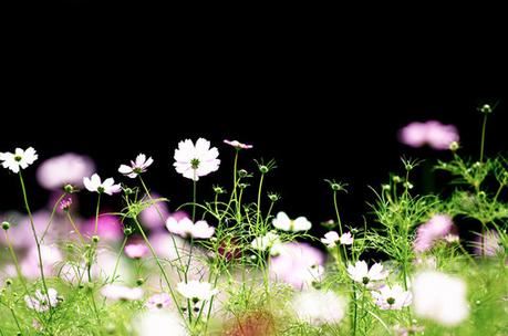 黄先生工资一万多点　《猜戏剧梅花奖得主》