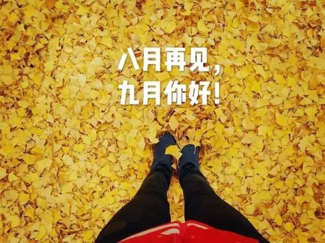 查问芝麻 《财会词语》