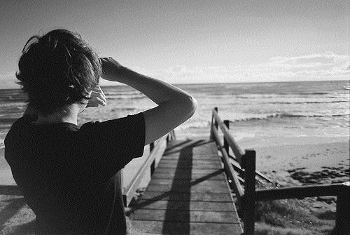 不是狐狸不是狗_前面架铡刀_后面拖扫帚《猜一动物》