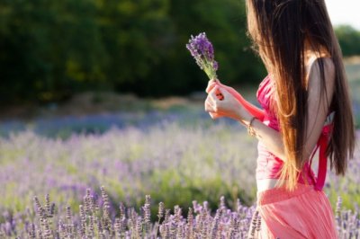 直至三迁母放心《猜一数学词语》