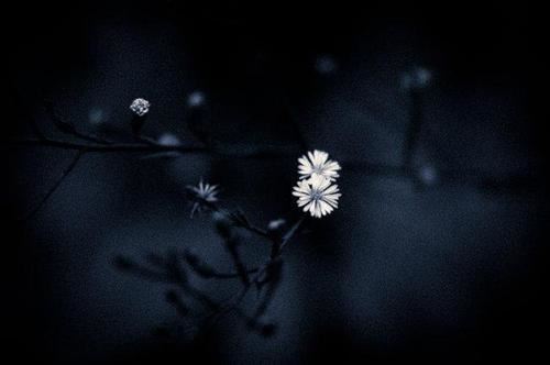 情为何物_直教生死相许 《歌名》