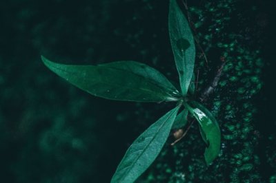 今生寄与山水间 《10划字》