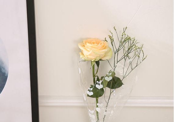 扁扁身体尖脑袋_分量不重脾气坏_虽然站在高高处_遇事只会随风摆-《猜一气象用具》