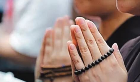 出水芙蓉《猜花名》