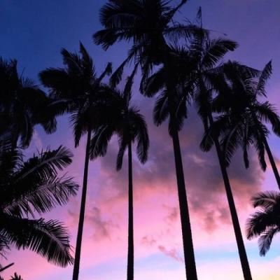 那球投的实在是糟 《4字世界名画》