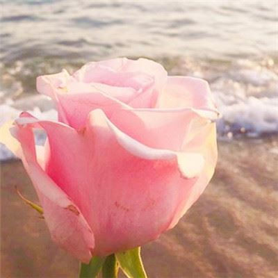 二万五千里长征《猜一数学词语》