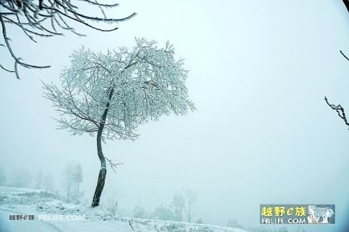 “二八佳人体如酥_腰间伏剑斩愚夫” 《电脑病毒名》