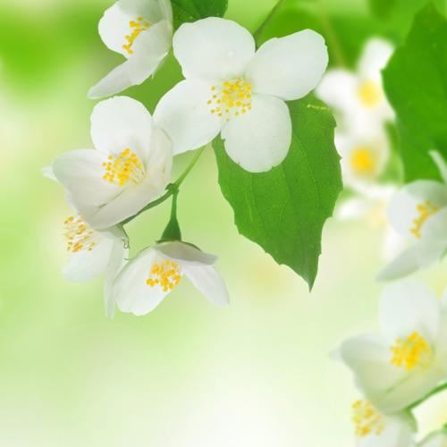 聚散皆是缘《猜一数学词语》