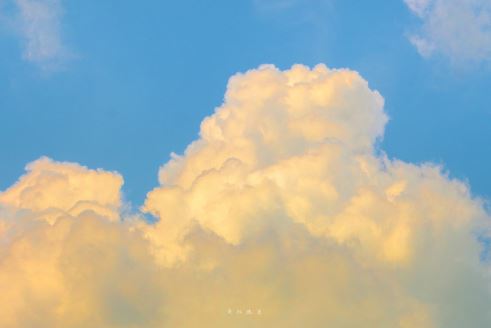 伐无道_诛暴秦《猜一数学词语》