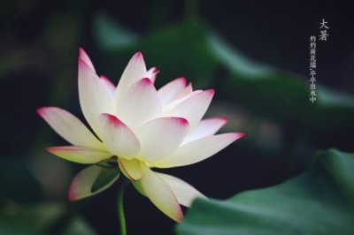 远眺钱塘 《浦东地名》