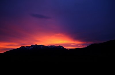 猜谜语题目:24小时必死《打一个成语》