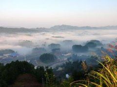 岸嘴口波_篱根受叶_野径通村市 《穴位》