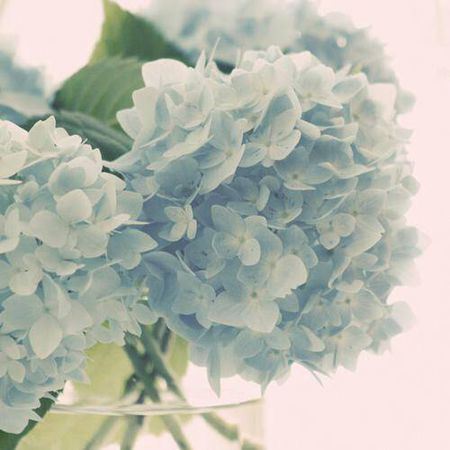 曲未谱成心烦忧 《物理名词》