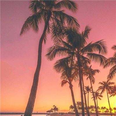 唐僧收徒谁为首 《演员》