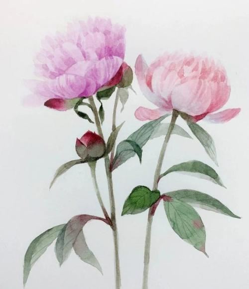 能饮千盅否 《骊珠》