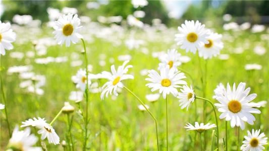 有人上台伴丑角 《八画单字》