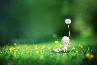 头黑肚白尾巴长_传说娶妻忘了娘_生活之中人喜爱_因为常来报吉祥-《猜一动物》