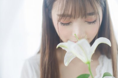 赤火炮制一片丹 《镇领导》